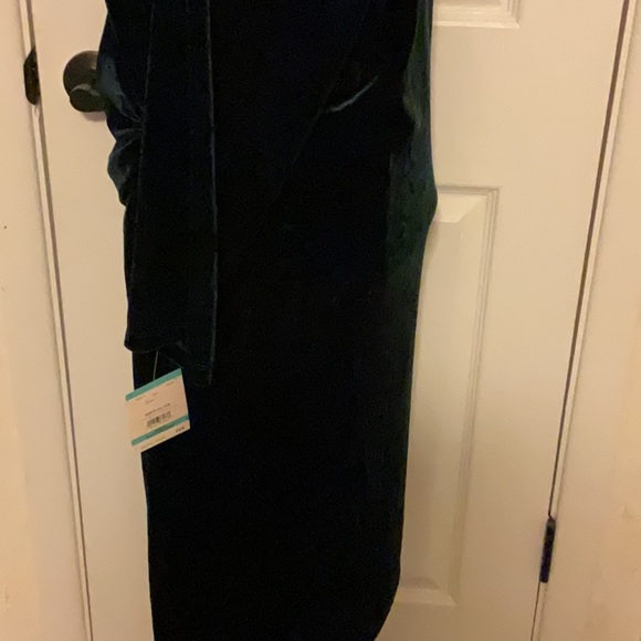 ANNE KLEIN Emerald Green Dress Size 16 NWT Retail $119 LAST ONE - Picture 6 of 6